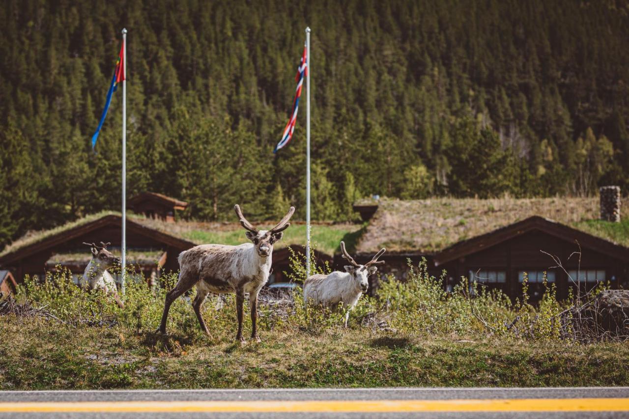 Saltdal Turistsenter Villa Storjord Luaran gambar