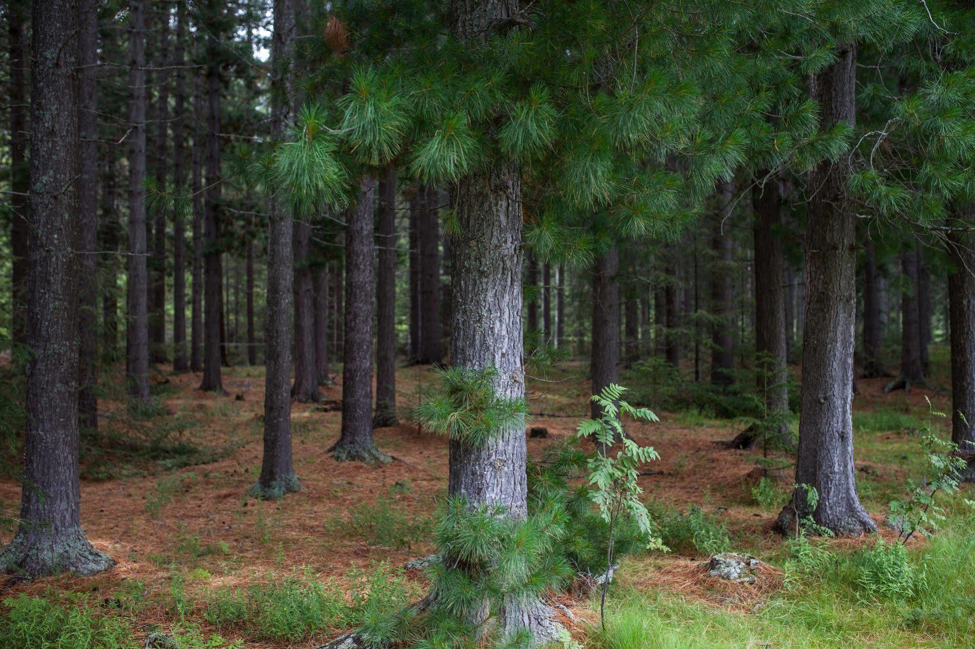 Saltdal Turistsenter Villa Storjord Luaran gambar